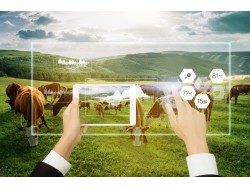 人生就是博·(中国区)官方网站